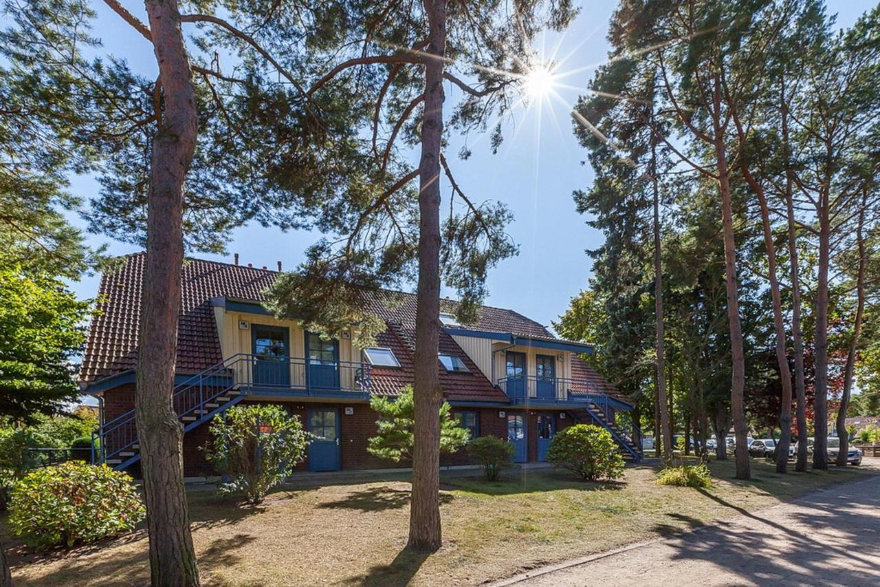 Papillon Wohnung 08-1 Boltenhagen  Exteriér fotografie